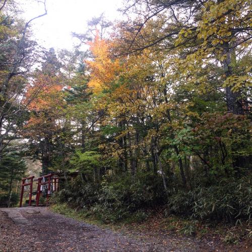 新谷山神社奥宮　紅葉