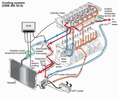 M52TUBエンジンの水回り