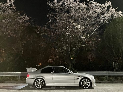 夜桜とBMW