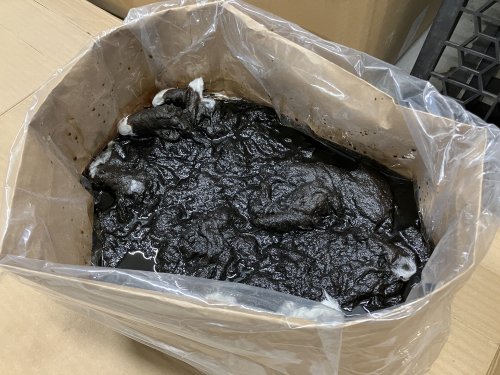 抜いたオイルはタール状
