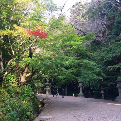 香取神宮参道の紅葉